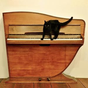 国产精品午夜爆乳美女
